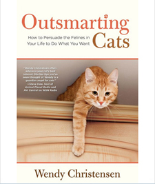 Outsmarting Cats Cover 225.jpg